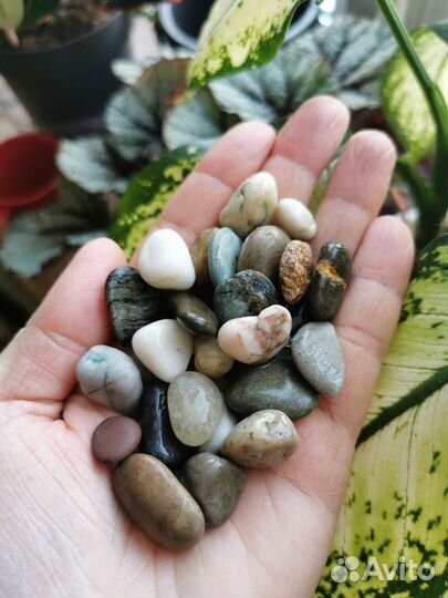 Грунт галька компрессор декор стекло