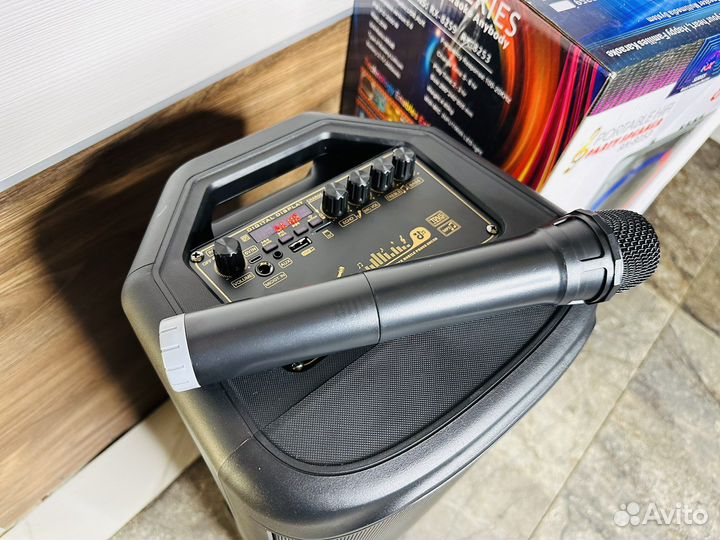 Колонка караоке Bluetooth большая RX-8253