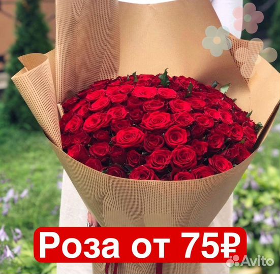 Букет 25 роз, букет 51 роза, букет 101 роза