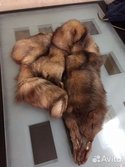 Шкура лисы 1,5 метра