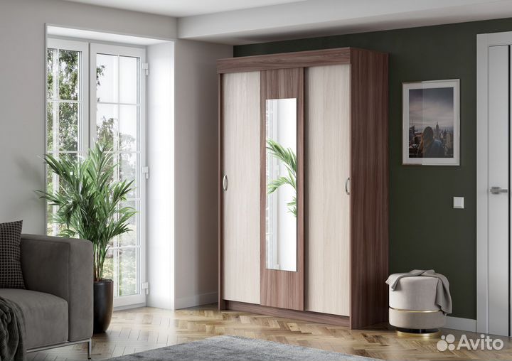 Шкаф-купе Бася