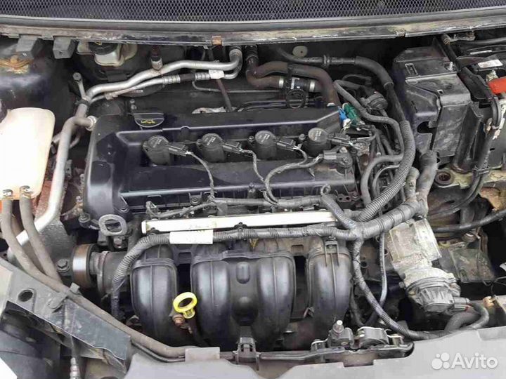 Двигатель ford focus 2 2.0 145 л с