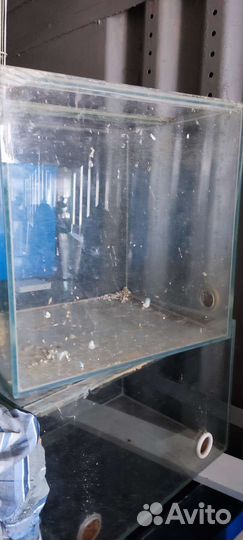 Аквариумы для разведения рыб