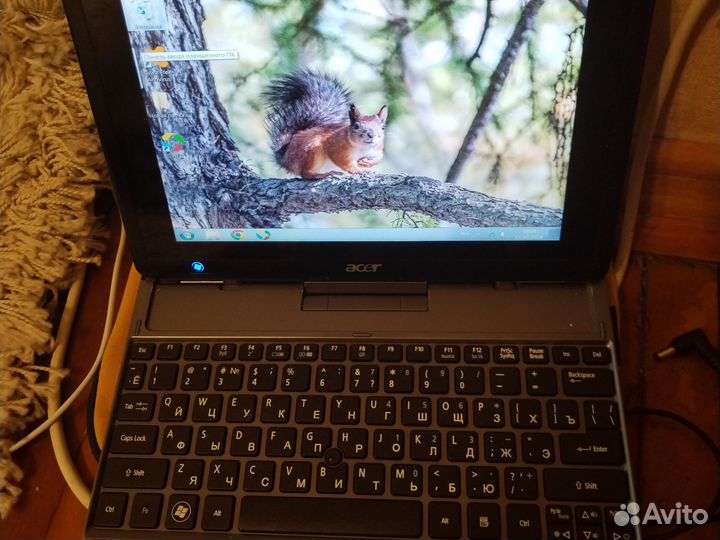 Acer