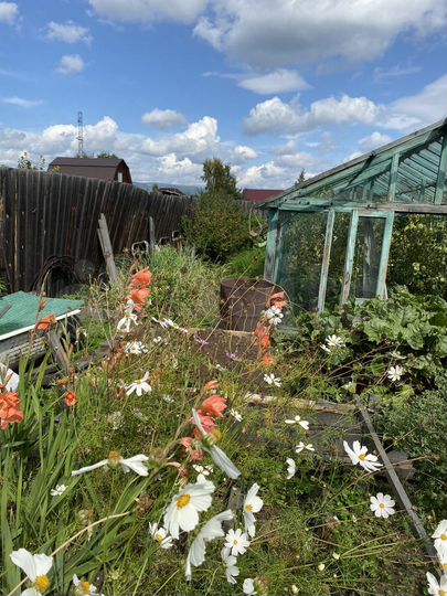 Участок 5 сот. (СНТ, ДНП)