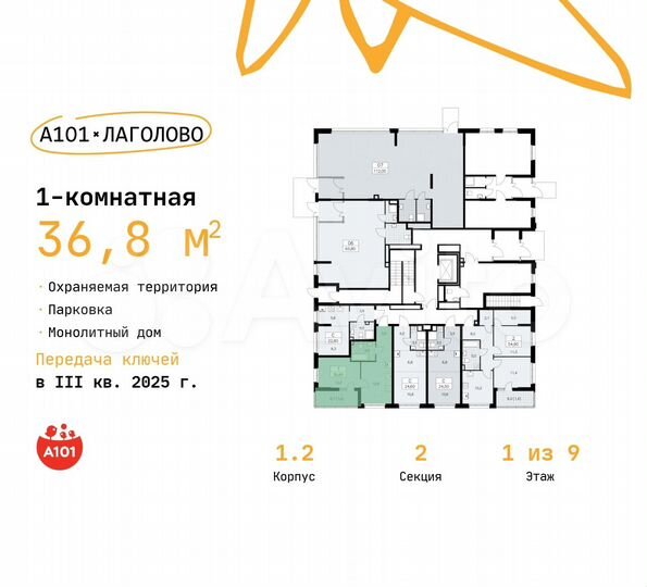 1-к. квартира, 36,8 м², 1/9 эт.
