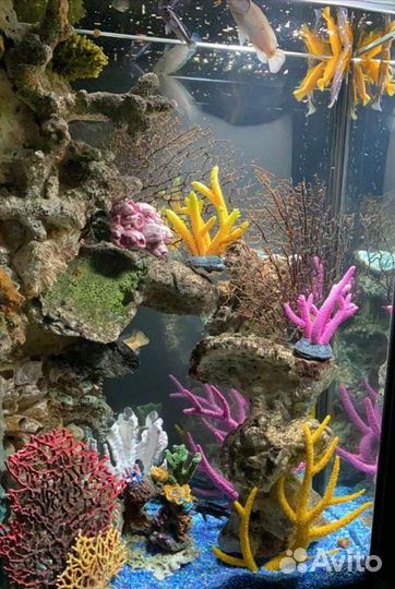 Обслуживание аквариума