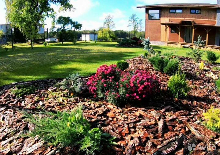 Кора, мульча Сосны