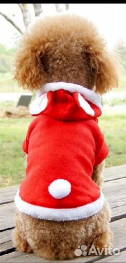 Одежда для животных (кота или собаки)