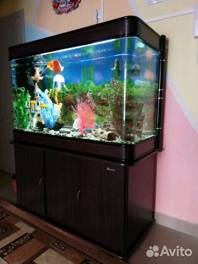 Обслуживание аквариумов и прудов