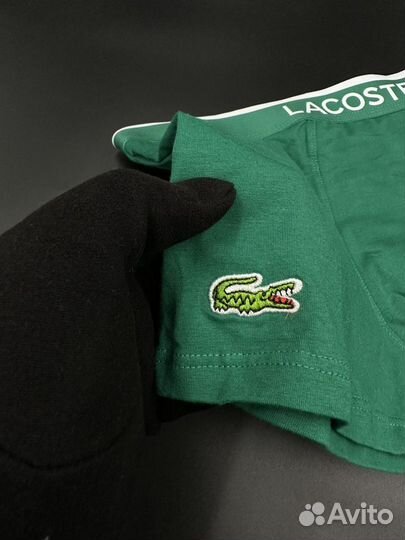 Комплект мужских трусов Lacoste