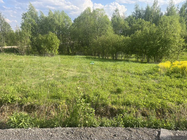 Участок 6 сот. (СНТ, ДНП)