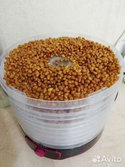 Лист смородины,малины,вишни, жасмин,облепиха, липа