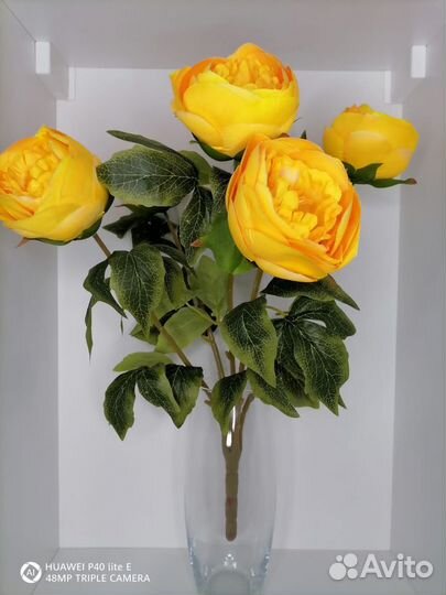 Букет крупных пионов