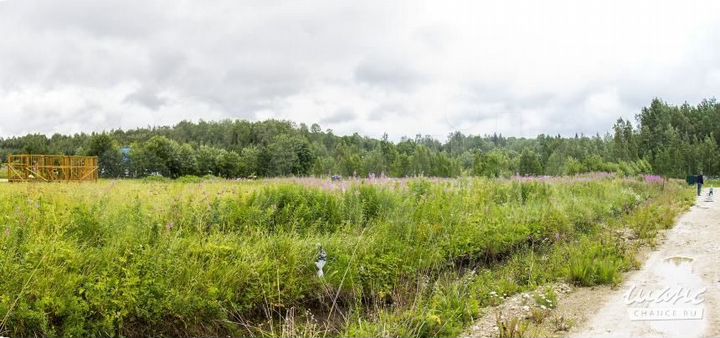 Участок 10 сот. (ИЖС)