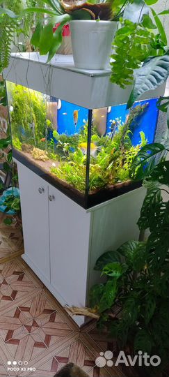 Аквариум с тумбой 80л