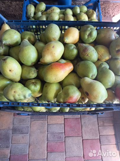 Груши