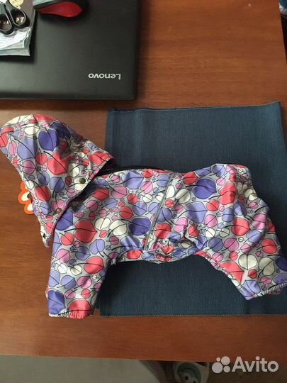 Одежда для собак мелких пород