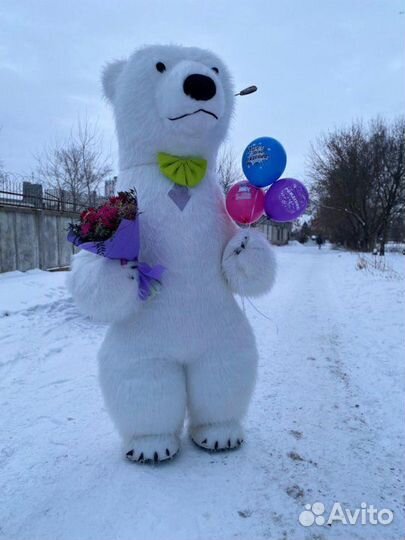 Белый мишка аниматоры