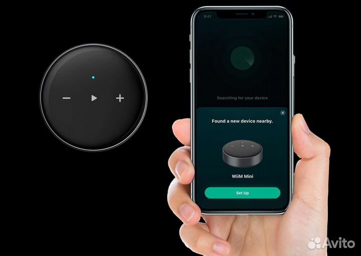 Универсальный музыкальный стример WiiM Mini