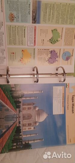 Мир на ладони