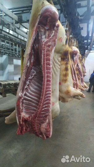 Свинина полутуши