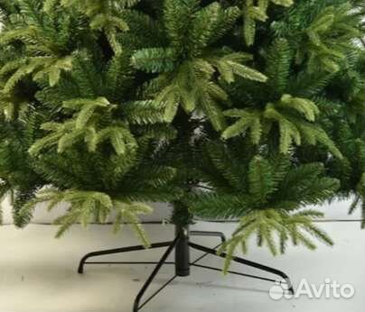 Елка пушистая