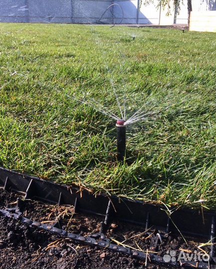 Рулонный газон укладка озеленение