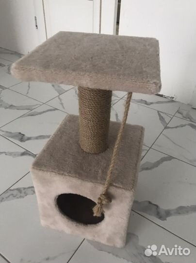 Когтеточка