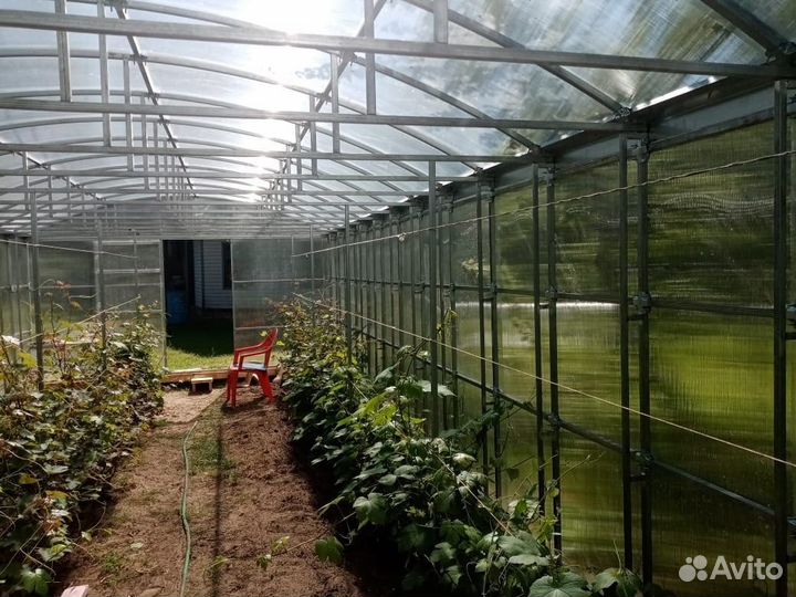 Теплица Прямостенная