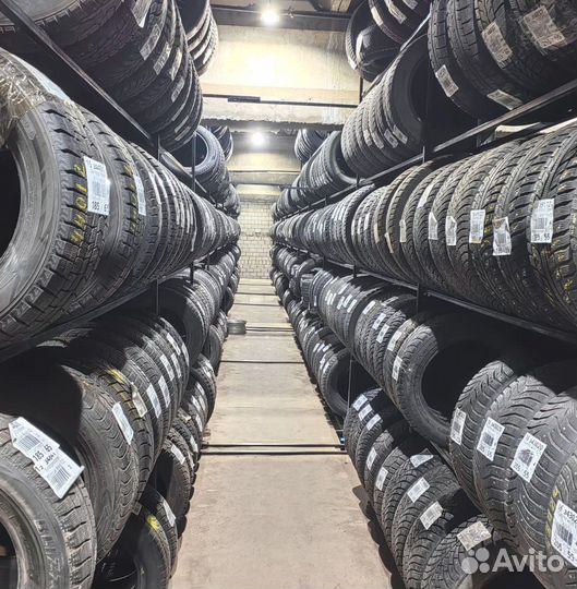 Tigar Winter 1 195/65 R15 91W