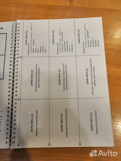 Развитие лексики и грамматического строя речи