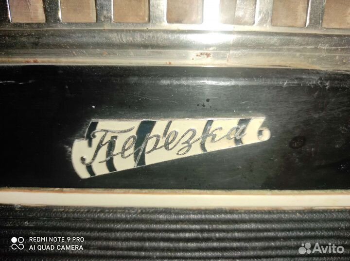 Баян березка