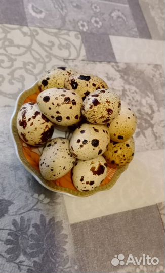 Перепелиные яйца