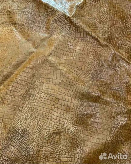 Огромная интерьерная натуральная кожа,шкура.аллига
