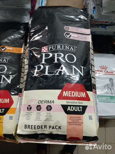 Корм для собак проплан