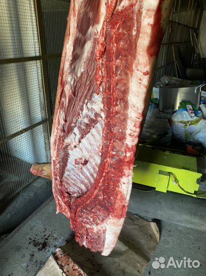 Свинина молодая деревенская