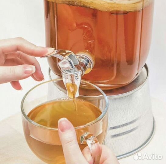 Чайный гриб