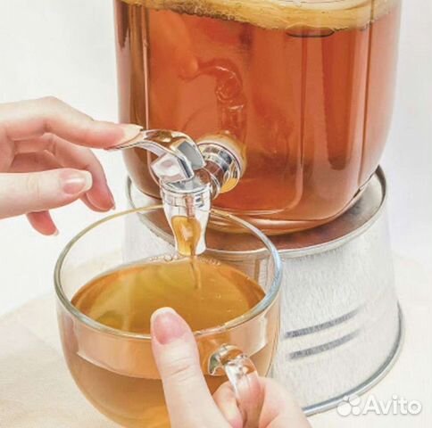 Чайный гриб