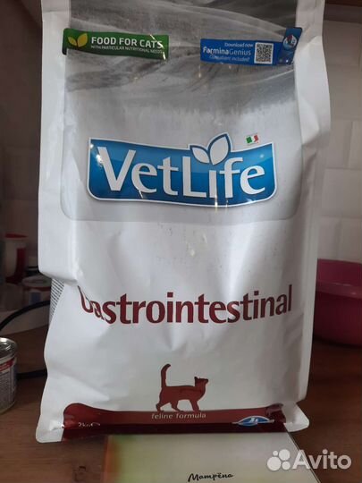 Гастроинстенстинал корм для котов