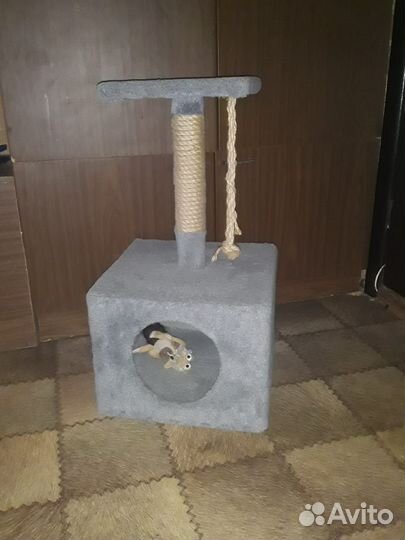 Кошачие домики с когтеточкой и мансардой)