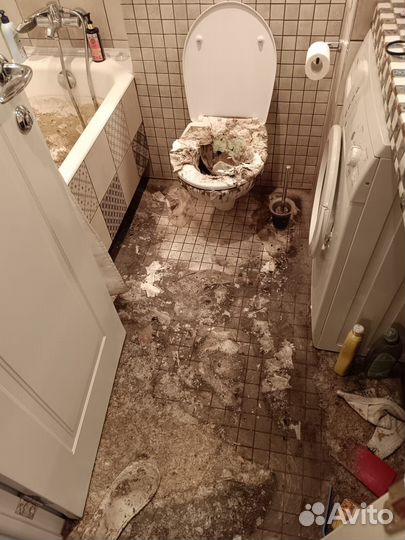 Споры жкх (залив квартир,падение дерева на авто)