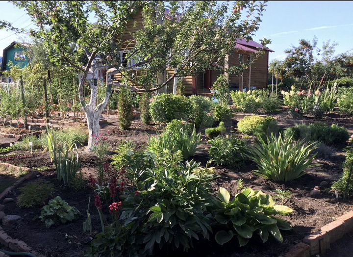 Дача 54,1 м² на участке 7,5 сот.