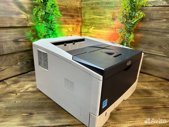 Мфу Kyocera Ecosys P2034d