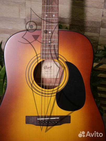 Акустическая гитара cort ad 810 + (Аксессуары)