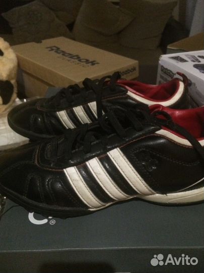 Кроссовки Adidas. Брали в отделе Adidas. Носил мал