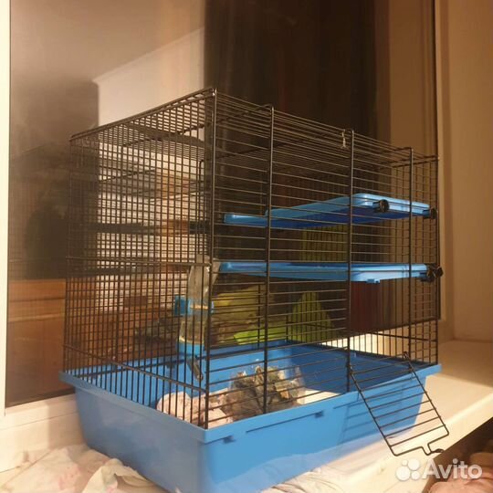 Клетка для крвс и колесо