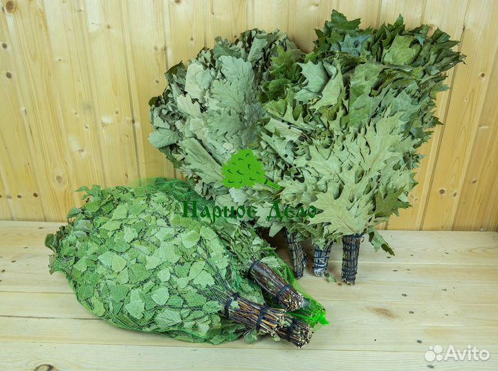 Веники кавказский дуб