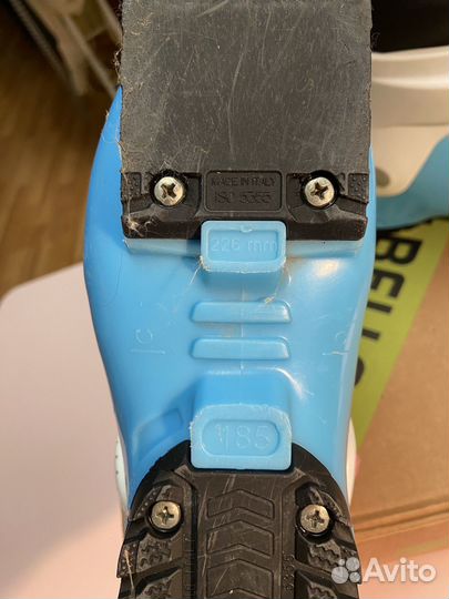 Горные лыжи