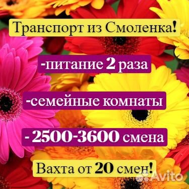 Вахта 15 смен / питание 2 раза / фасовщик